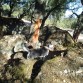 Cómo disfruto en el campo!!